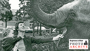 An archived photo from the Express and Star newspaper of a person feeding an elephant, holding a young child in their right arm and food in their left